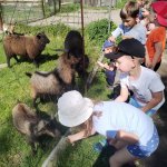 phoca_thumb_m_veverky u rybnka 8 Fotogalerie